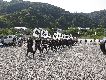 @ёы쌴