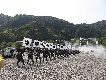 @ёы쌴