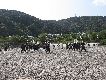 @ёы쌴