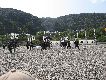 @ёы쌴