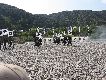 @ёы쌴